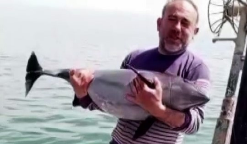 Karasu'da yunusu kurtarıp esprili sözlerle uğurladı