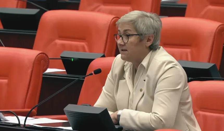 “Fındık Üreticisi Hasat Öncesi Belirsizliğin Giderilmesini İstiyor”