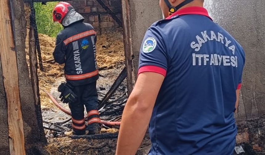 Sakarya'da samanlık ve ahırda çıkan yangında 24 civciv telef oldu