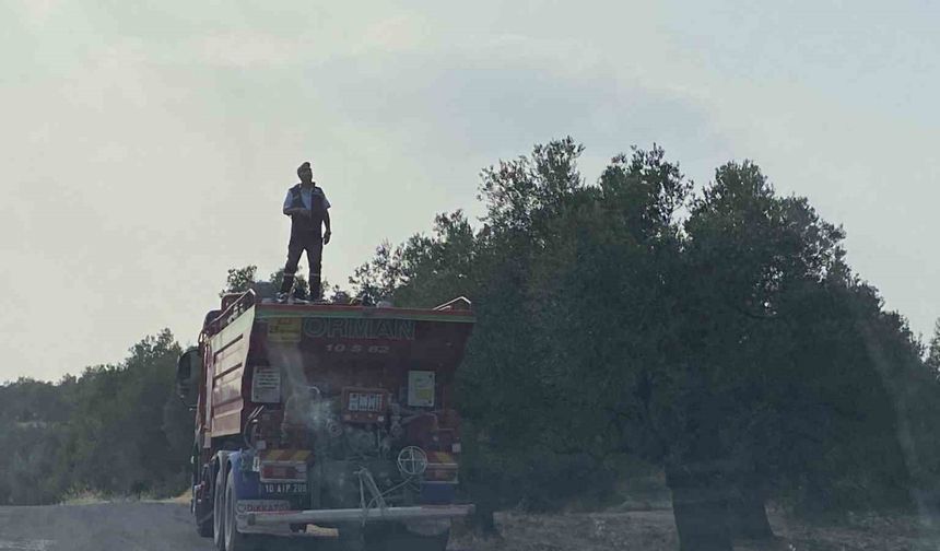 Ayvalık’ta zeytinlik alanda çıkan yangın kontrol altına alındı