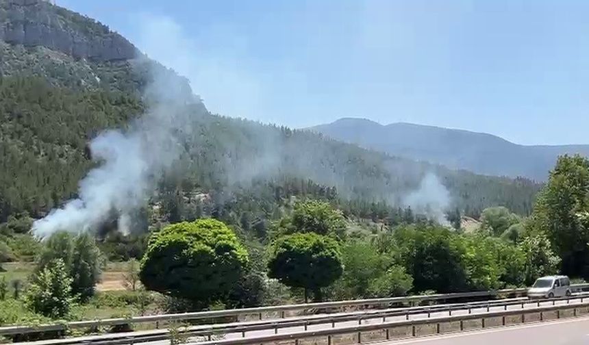 Karabük’te örtü yangınları büyümeden söndürüldü