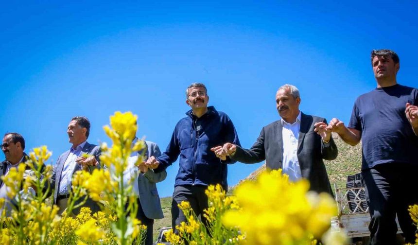 Vali Ali Çelik, 3 bin rakımlı Aveğak yaylasındaki vatandaşları ziyaret etti