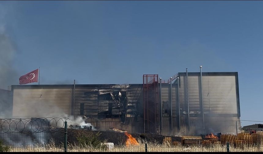 Palet yangını fabrikaya sıçradı: 4 işçi dumandan etkilendi