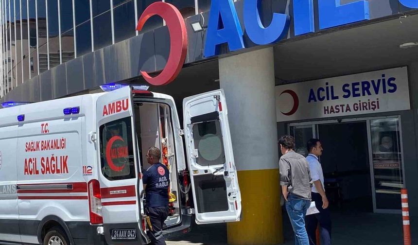 Erzincan'da acemi kasaplar hastanenin yolunu tuttu