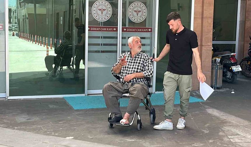 Kurban Bayramı'nda bilindik manzara: Acemi kasaplar hastanelerde