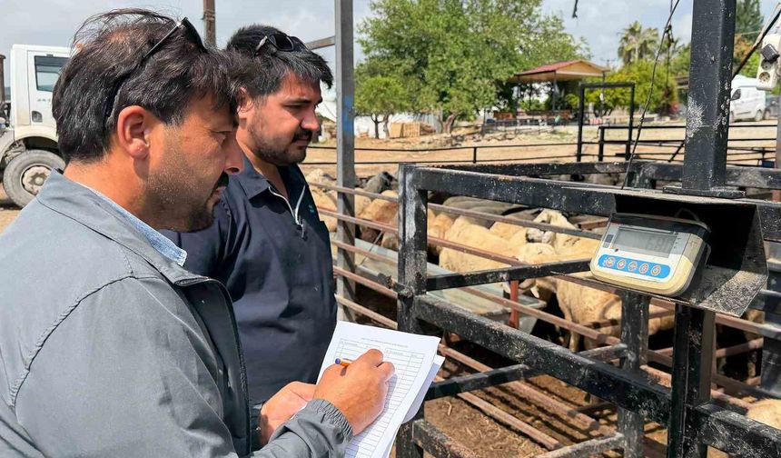 Tarsus Belediyesinden şehit ailelerine bayram desteği
