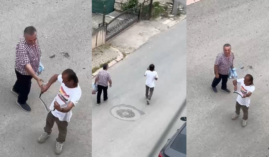 Paniğe sebep olan yılanı eliyle yakaladı