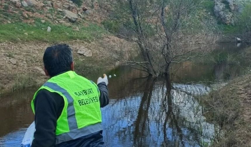 Bayburt'ta larva ilaçlaması ve temizlik çalışmaları sürüyor