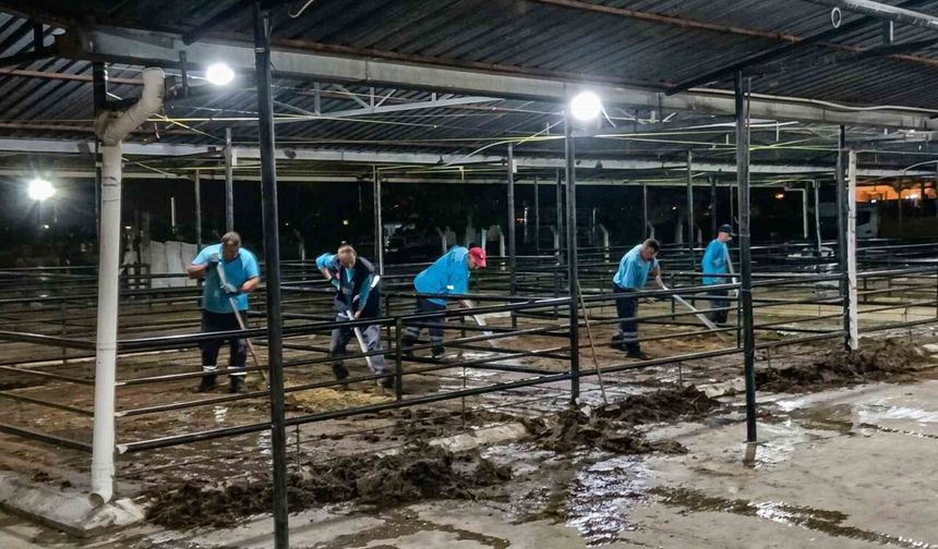 Efeler'de bayram sonrası kapsamlı temizlik seferberliği