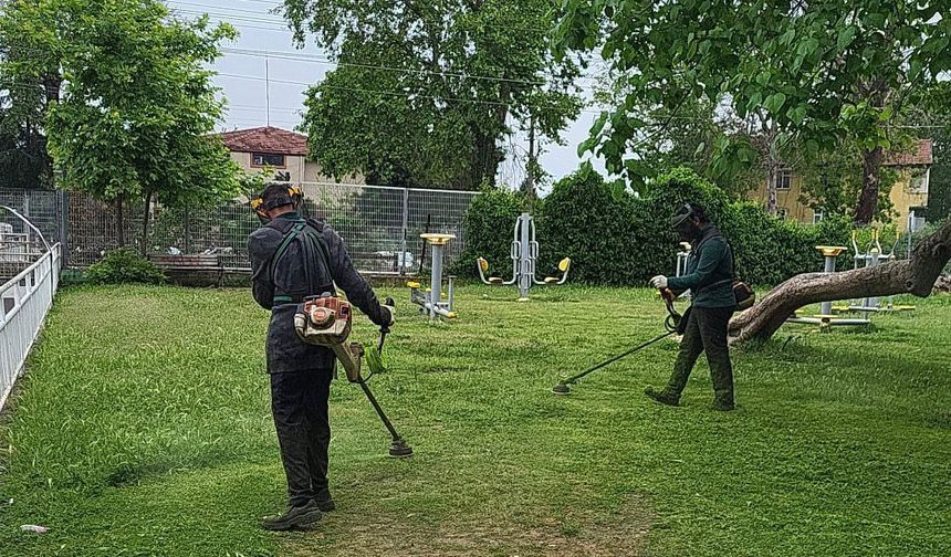Sapanca’da Park ve Bahçelerde Hummalı Çalışma