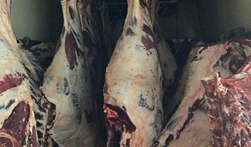 Halk sağlığıyla böyle oynadılar! 1,8 ton kaçak karkas et ele geçirildi