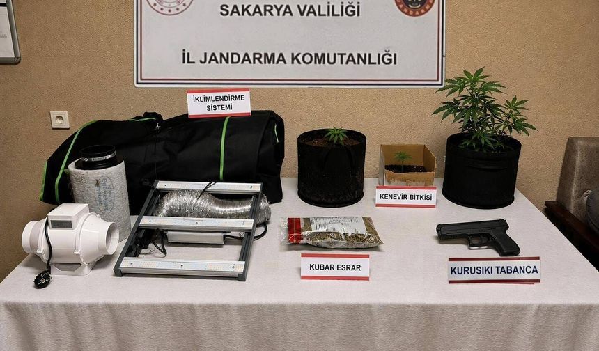 Sakarya'da Uyuşturucu Operasyonu: 3 İlçede Eş Zamanlı Baskın!
