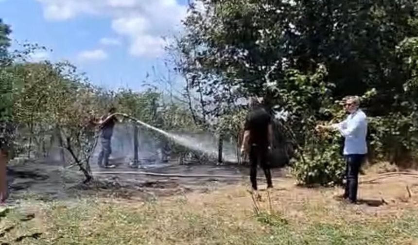 Fındık bahçesinde kül olan emekler: Sabotaj mı, kaza mı?