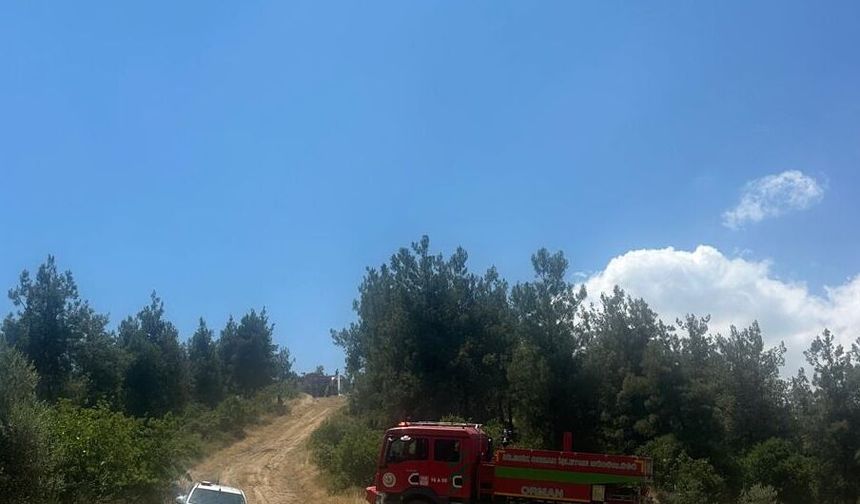 Bilecik'te çıkan orman yangını kontrol altına alındı