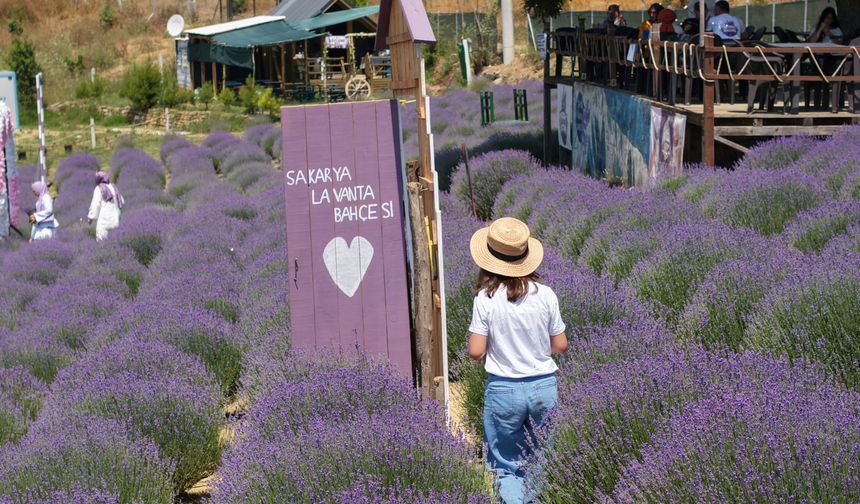 Sakarya 'Türkiye Kültür Yolu Festivali'ne hazır