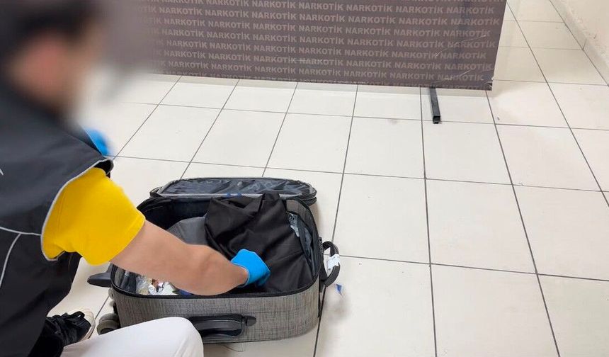 Batman'da akıl almaz sevkiyat yöntemi dedektör köpek Mailo'ya takıldı