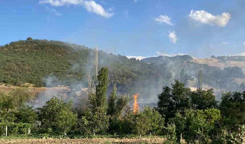 Çorum'daki orman yangını kontrol altına alındı