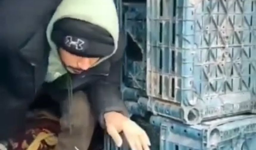 Düzce'de 1 düzensiz göçmen yakalandı