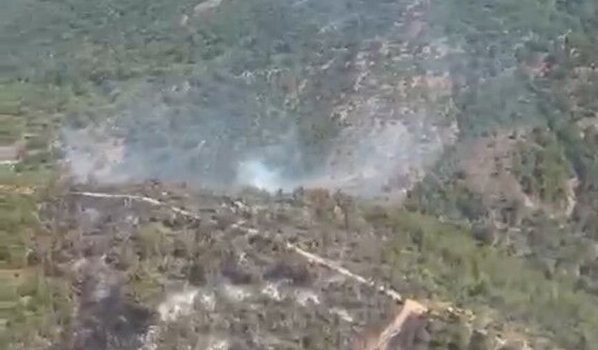 Gömeç'te başlayıp Burhaniye'ye sıçrayan orman yangını kontrol altına alındı