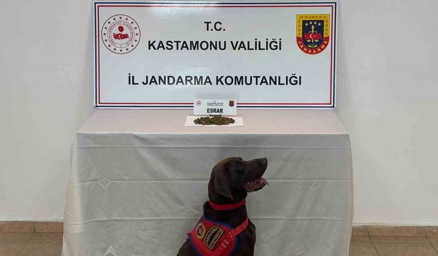 Kastamonu'da uyuşturucu operasyonlarında 5 şüpheli gözaltına alındı