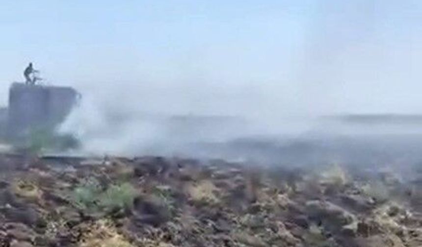 Mardin'deki anız yangını kontrol altına alındı