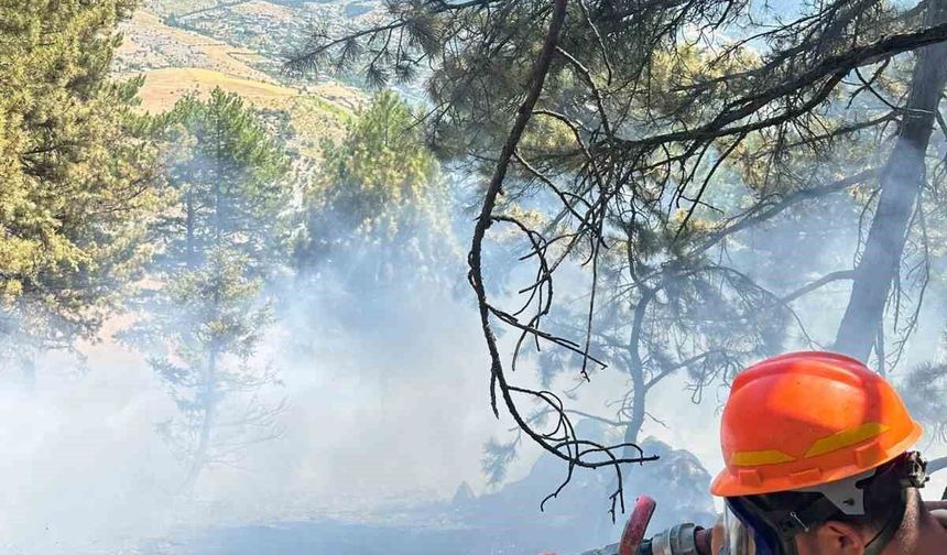 Saimbeyli'de çıkan orman yangını kontrol altına alındı