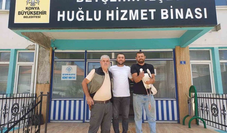 Yaralı leylek koruma altına alındı