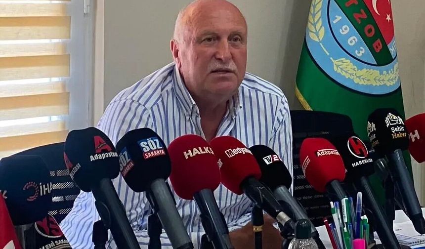 Sakarya'da fındık rekoltesi ve beklentiler netleşti