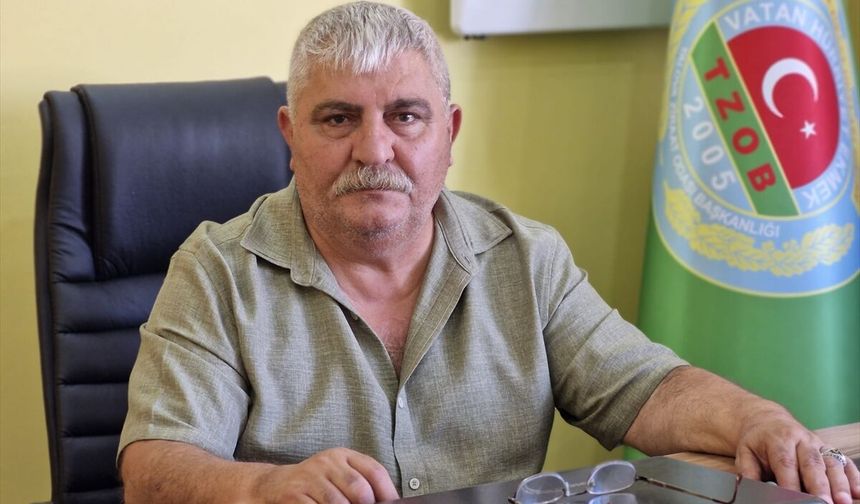 Yalovalı çiftçiler yapay zekayla üretim yapacak