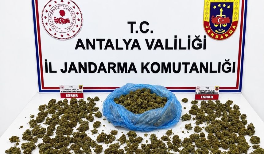 Alanya'da uyuşturucu operasyonunda 745 gram esrar ele geçirildi