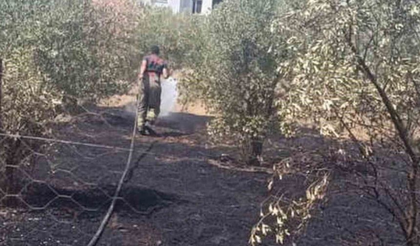 Dörtyol'da bahçe yangını kontrol altına alındı