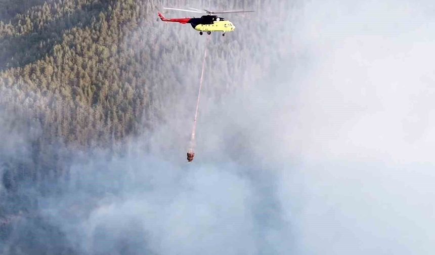 Kastamonu'da çıkan orman yangını kontrol altına alındı