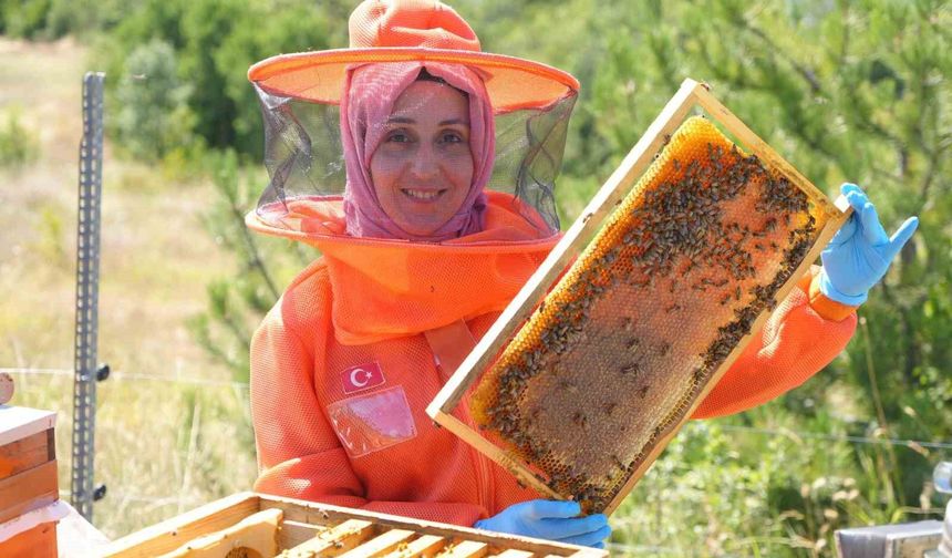 Merakı kadın girişimcinin mesleği oldu
