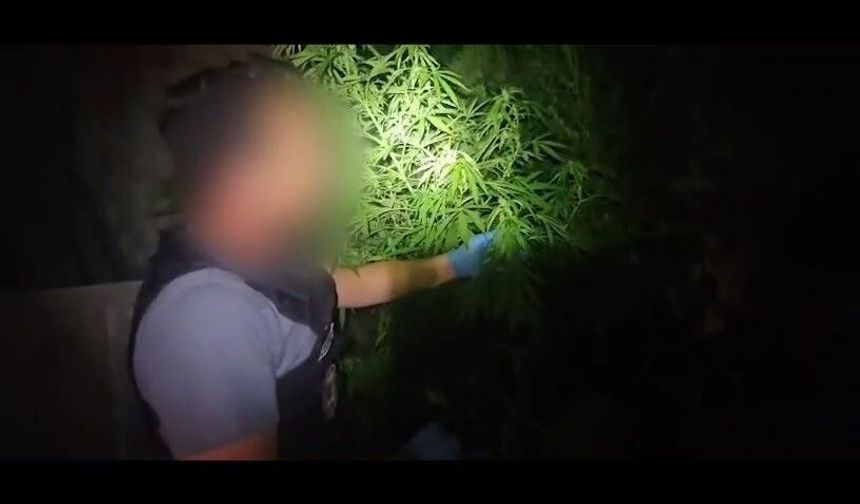 Niğde'de uyuşturucu operasyonu: 1 şüpheli tutuklandı
