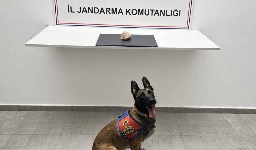Şanlıurfa'da uyuşturucu operasyonu: 1 tutuklama