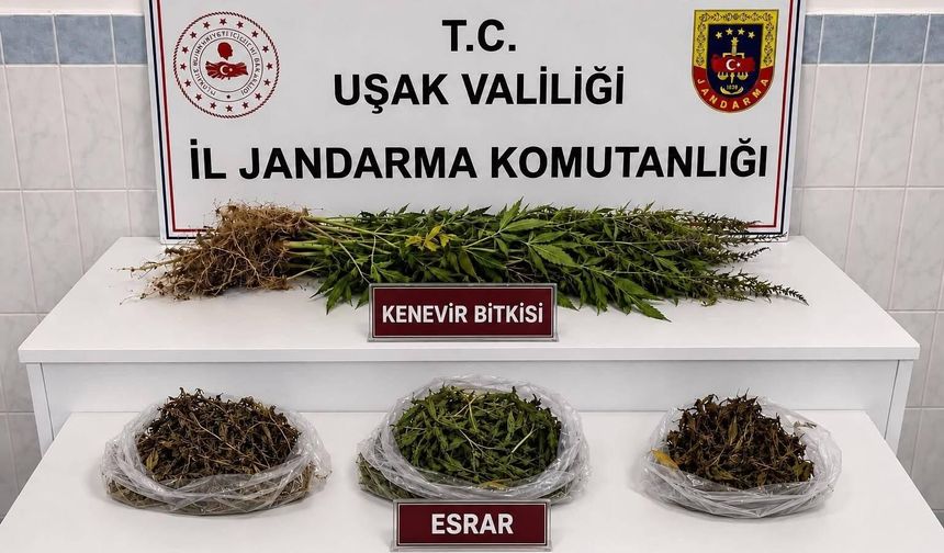 Uşak'ta kaçakçılık operasyonu