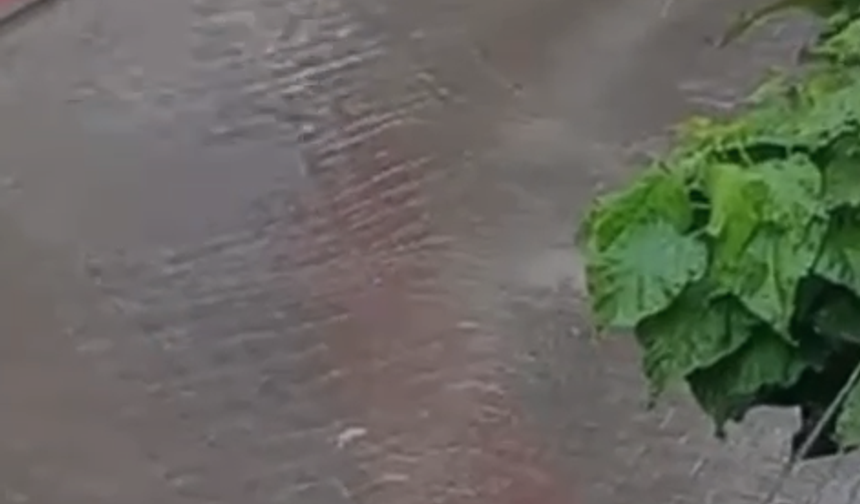 Nenfezleri temizlemek çok mu zor?