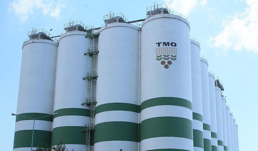 Fındıkta TMO sezonu açıyor: Ödemeler 21 gün içinde hesaplarda