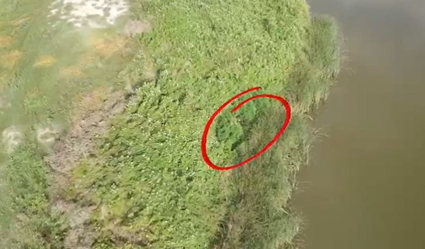Uyuşturucuya geçit yok: Karasu’da Dron destekli operasyon