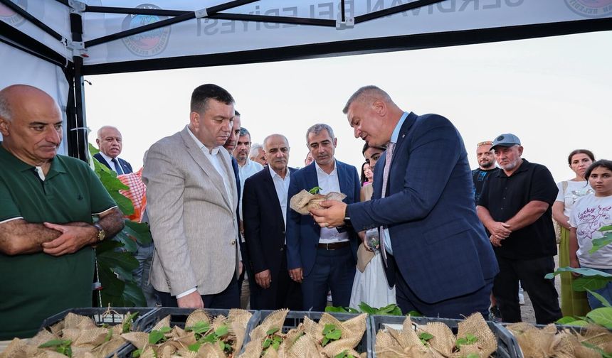 Serdivan İncir Festivali Bugün de İlgi Odağı Olacak