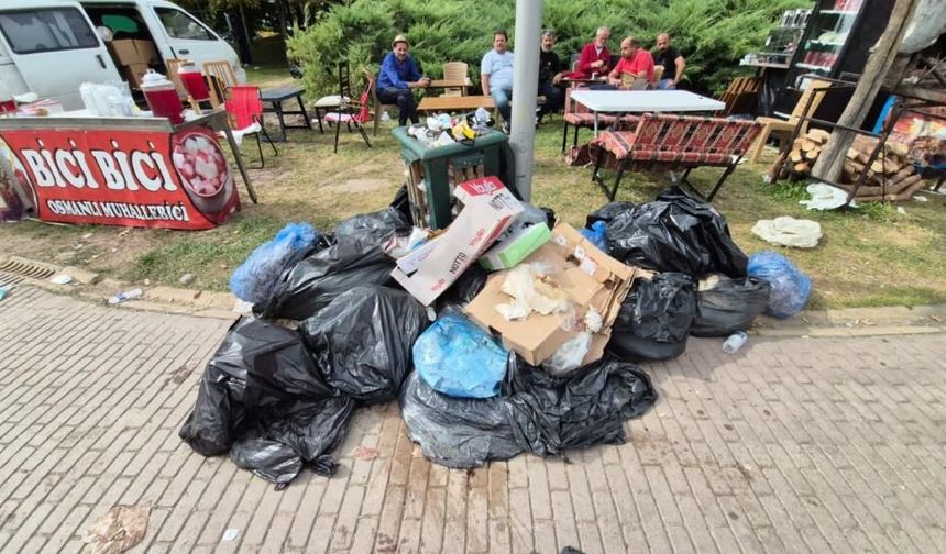 Sakaryalı Esnaf Eskişehir'deki Festivalde Mağdur Oldu: Tonlarca Ürün Çöpe Gitti!