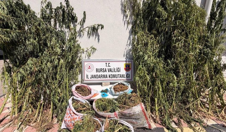 Bursa'da uyuşturucu operasyonunda 3 şüpheli yakalandı