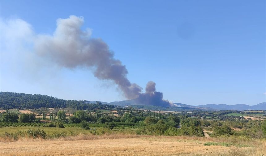 Çanakkale'de çıkan orman yangını kontrol altına alındı