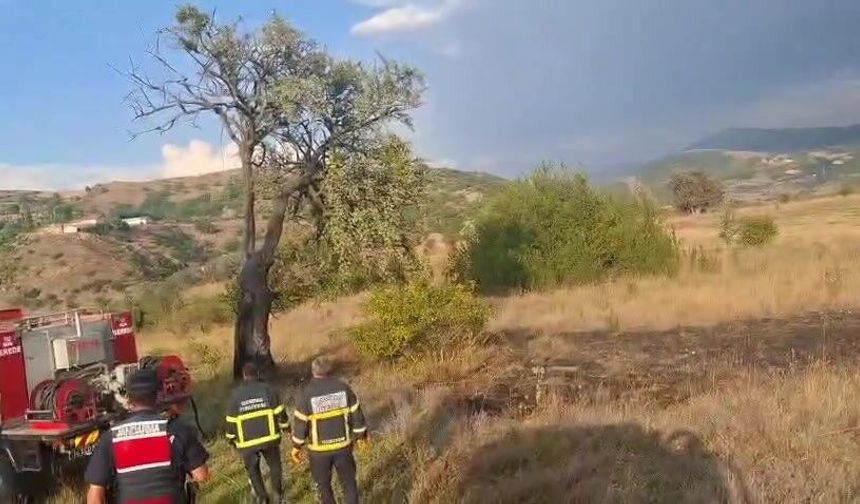 Bolu'da ağaca düşen yıldırım yangına sebep oldu