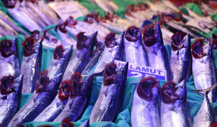 Denizlerde sezon açıldı, tezgahlar palamut ve hamsiyle doldu
