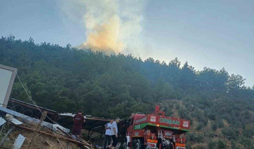 Hassa'da ormanlık alan yangını kontrol altına alındı