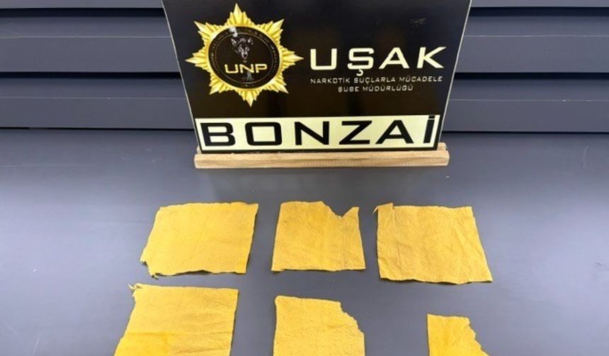 Uşak'ta uyuşturucu operasyonunda 14 şüpheli tutuklandı