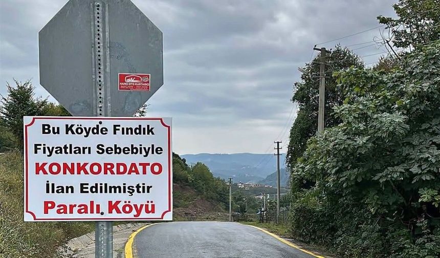 Fındık fiyatlarına ironik tepki: Paralı Köyü "Konkordato" ilan etti