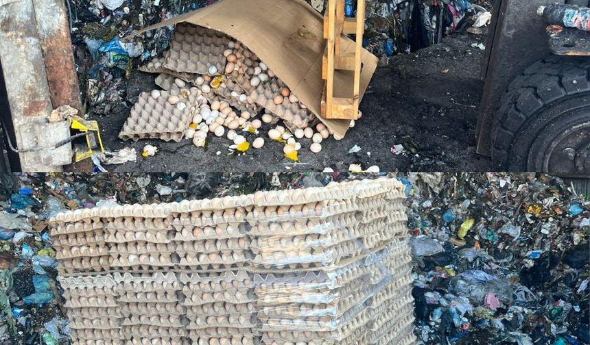 Etiket hilesine ağır darbe:59 Bin 70 adet yumurta imha edildi!
