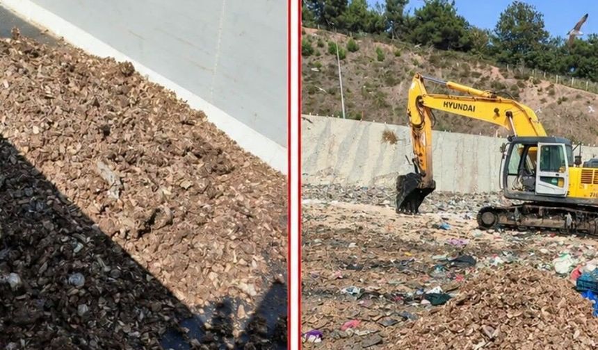 Sakarya’da kaçak üretime darbe: 3 ton et-kemik unu imha edildi